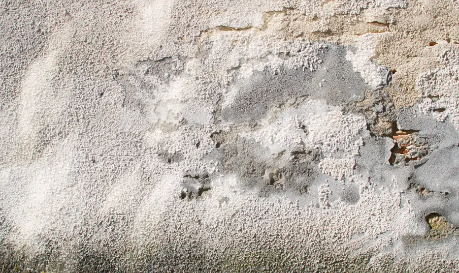 Close-up of salt damage to concrete showing peeling surface, efflorescence, and structural deterioration caused by moisture and salt exposure.